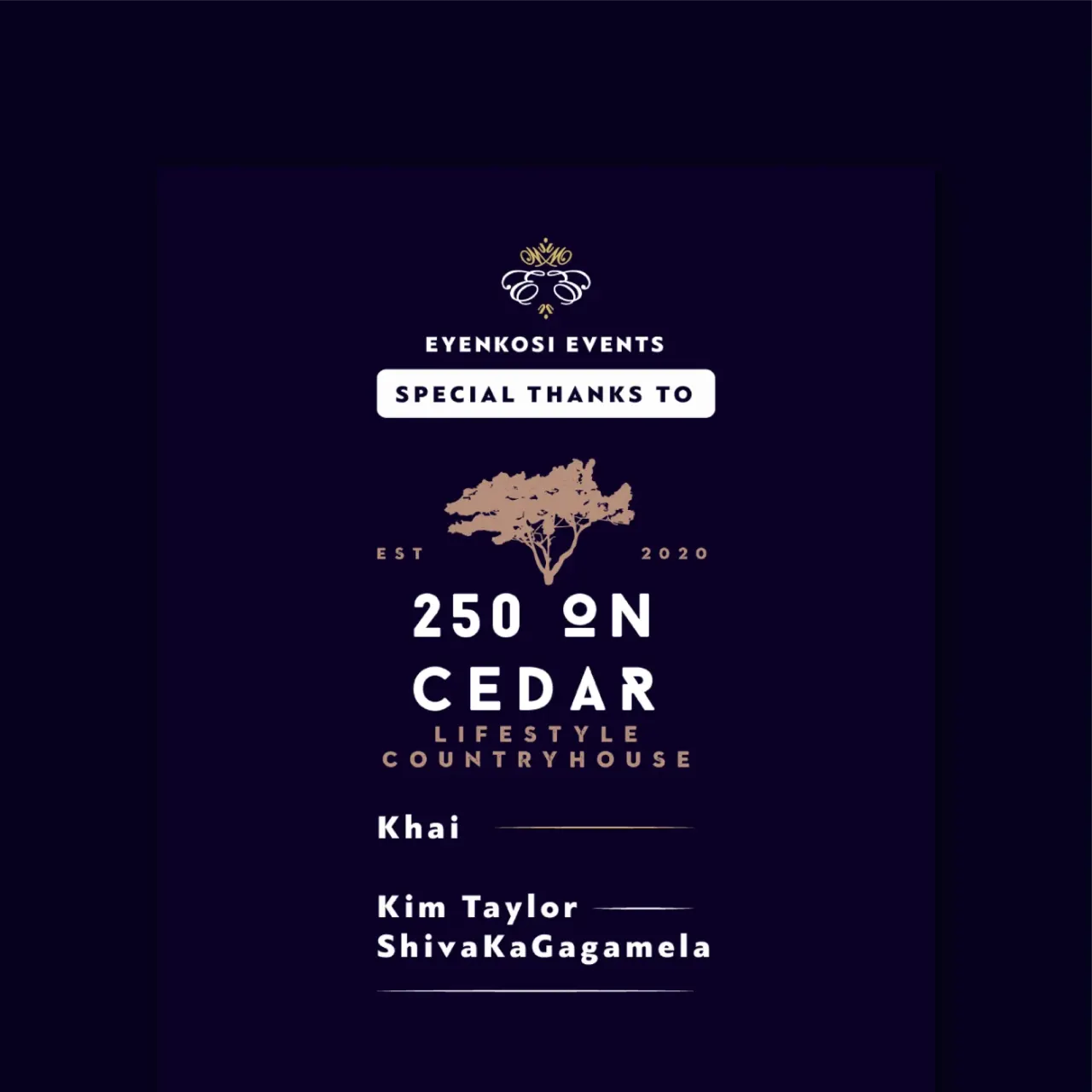 250 on Cedar Social Media, social work by Little Hat
